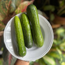 แตงกวา3ลูก