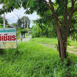 ร้านเฮียเมฆข้าวมันไก่ ก๋วยเตี๋ยวต้มยำ