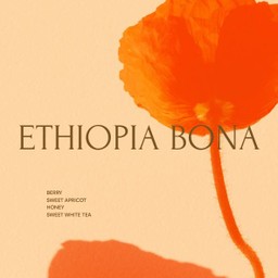 Ethiopia Bona