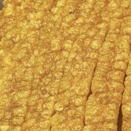 ศรัณย์ หมูกรอบ ตลาดนัดคุ้มเกล้า