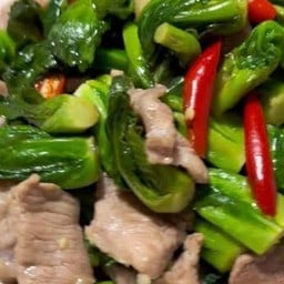 เนื้อผัดผักแขนงราดข้าว