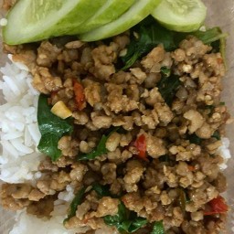กะเพรารอบดึก