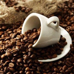 MENU_481324Hd_1642663367