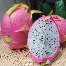 แก้วมังกร