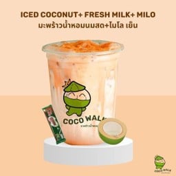 มะพร้าวน้ำหอม + ไมโล นมสดเย็น