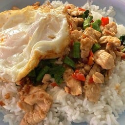 กะเพรา 50 บาท (แอน บัวทอง4)