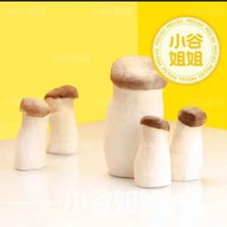 เห็ดออรินจิ 杏鲍菇