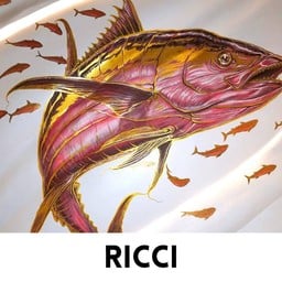 Ricci Italian Restaurant and Crudo Bar
