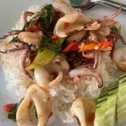 ข้าวกะเพราปลาหมึก