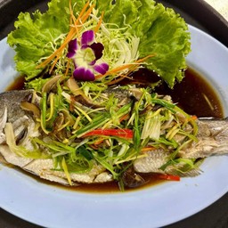 ปลากระพงนึ่งซีอิ๊ว