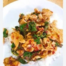 ข้าวกะเพราไก่