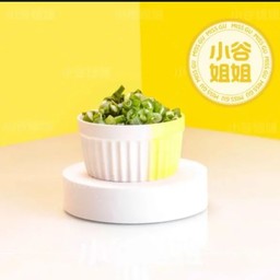 小葱 ต้นหอม