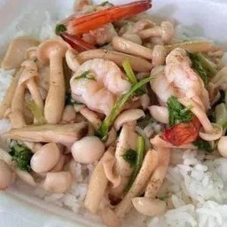 ผัดเห็ดรวมกุ้ง