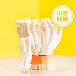 เห็ดชิเมจิ 白玉菇