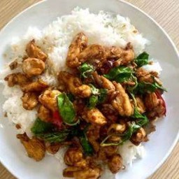 ผัดกระเพราไก่ราดข้าว