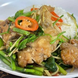 ปลากระพงผัดคื่นฉ่าย ราดข้าว