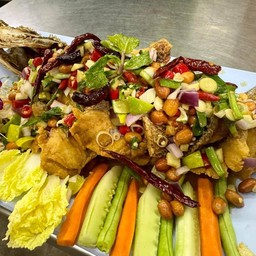 ปลากระพงลุยสวน