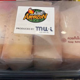 หมีบลูเบอรี่