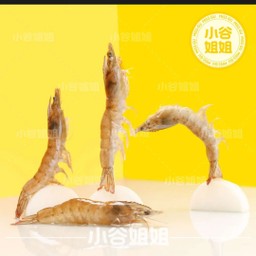 กุ้ง 虾