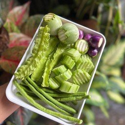 ชุดผักรวม