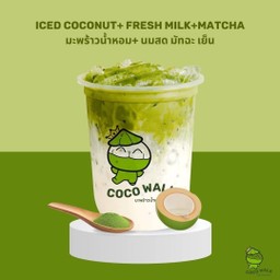 มะพร้าวน้ำหอม + มัทฉะ นมสดเย็น