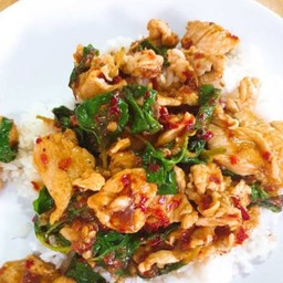 DD กะเพรา