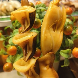 หมึกเสียบรวมหนวด