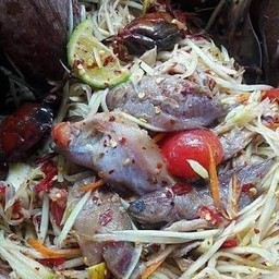 ตำปลาแดกต่อน