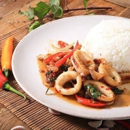 ข้าวราดกะเพราปลาหมึก+ไข่ดาว