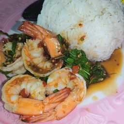 กะเพรากุ้ง