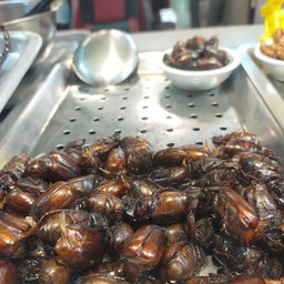 แมลงทอด