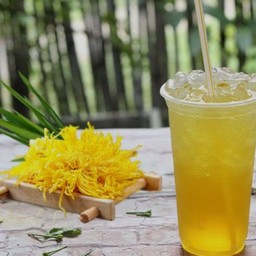 Chrysanthemum Tea + Ice