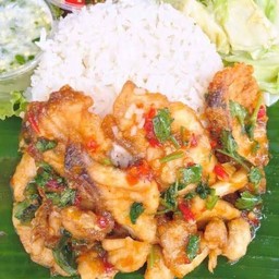 กระเพราปลากระพงชิ้นราดข้าว Stir Fried Basil With Sea Bass On Rice