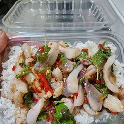 กระเพราคางปลาหมึก