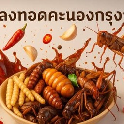 แมลงทอดคะนองกรุง