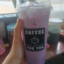 เผือกนมสด
