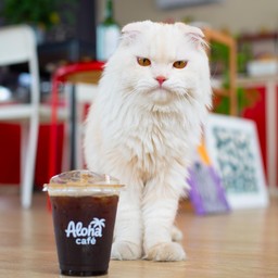 Americano. 1 แถม 1 (โปรนี้เฉพาะในไลน์แมนเท่านั้น!)
