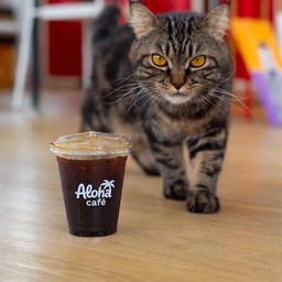Americano