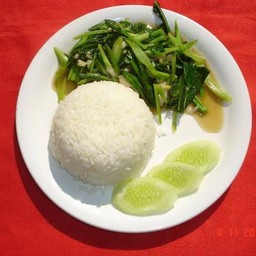 ผัดคะน้าน้ำมันหอยราดข้าว Stir Fried Kale With Oyster Sauce On Rice