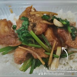 ข้าวปลา(ทอด)ผัดคื่นฉ่าย