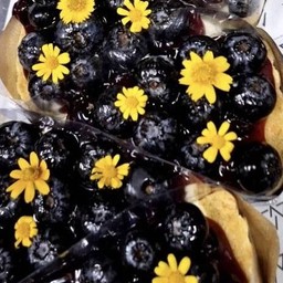 Blueberry Cheese Pie