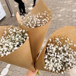 ช่อยิปโซ(G3)