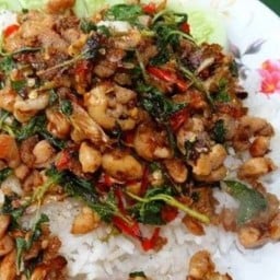 กะเพราไก่พริกแห้ง ราดข้าว