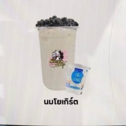 ติดนม อมมุก สาขาหอพักเจ๊ยูร