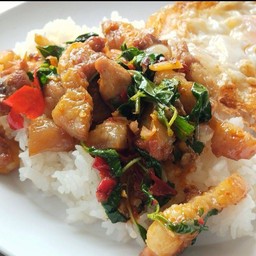 ข้าวราดผัดกะเพราหมูสามชั้น