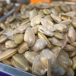 หอยลาย