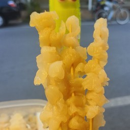 แมงกระพรุนเล่นไฟ