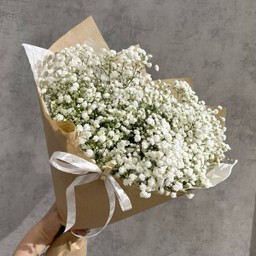 ช่อยิปโซ(G4)