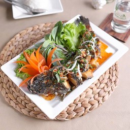 ปลาช่อนทอดน้ำตก/Crispy Snakehead Fish with Spicy Herbs///泰式香脆黑鱼配草药