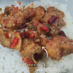 ข้าวปลา(ทอด)ผัดพริกสด